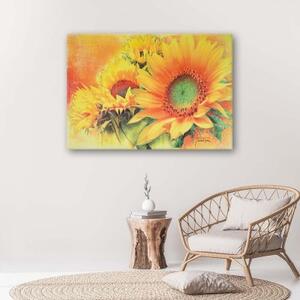 Obraz na plátně Slunečnice žlutá - 60x40 cm