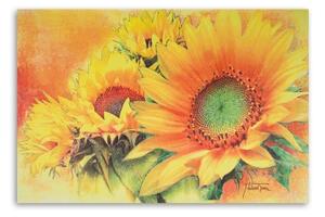 Obraz na plátně Slunečnice žlutá - 60x40 cm