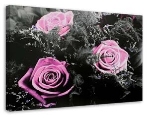 Obraz na plátně Růžové růže Přírodní květiny - 120x80 cm