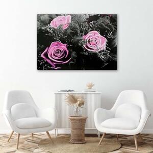 Obraz na plátně Růžové růže Přírodní květiny - 60x40 cm