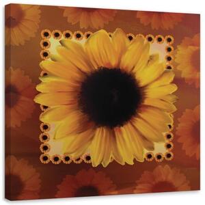 Obraz na plátně Slunečnicové květy žluté - 40x40 cm