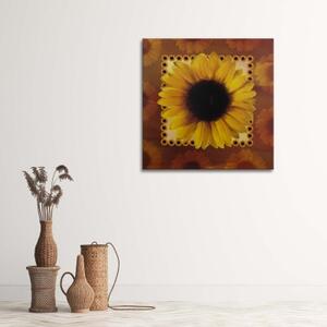 Obraz na plátně Příroda slunečnic - 30x30 cm