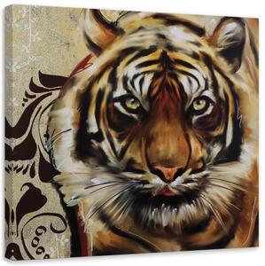 Obraz na plátně Tygr Afrika Zvířata - 40x40 cm