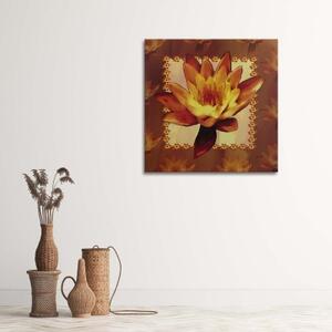 Obraz na plátně Vodní lilie Květiny Příroda - 40x40 cm
