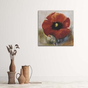 Obraz na plátně Květy máku Akryl - 40x40 cm