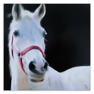 Obraz na plátně Bílí koně - 30x30 cm