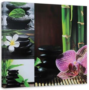 Obraz na plátně Zen Spa Orchid Bamboo - 30x30 cm