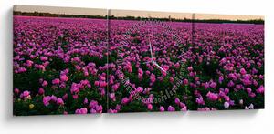 Obraz - Louka fialových tulipánů (s hodinami) (90x30 cm)