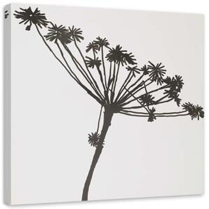 Obraz na plátně Rostlina Černá a bílá - 40x40 cm