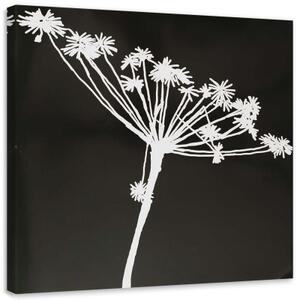 Obraz na plátně Květina Černobílá příroda - 40x40 cm