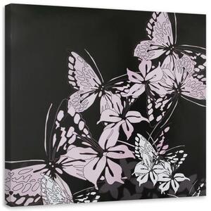 Obraz na plátně Motýl Hmyz - 40x40 cm