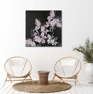 Obraz na plátně Motýl Hmyz - 30x30 cm