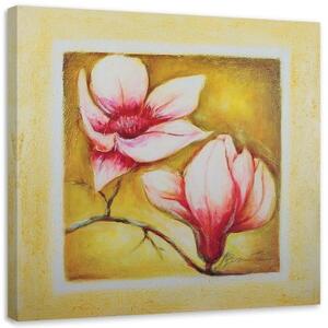 Obraz na plátně Třešňový květ růžová příroda - 30x30 cm