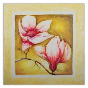 Obraz na plátně Třešňový květ růžová příroda - 40x40 cm