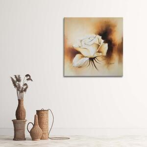 Obraz na plátně Rose Flower Brown - 60x60 cm