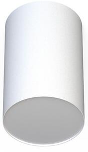 Nowodvorski Lighting Point Plexi stropní světlo 1x20 W bílá 6528