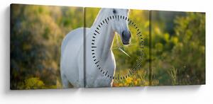 Obraz bílého koně na louce (s hodinami) (90x30 cm)