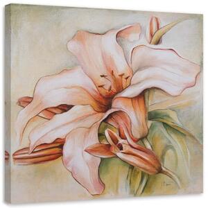 Obraz na plátně Lilie Květina Příroda - 40x40 cm