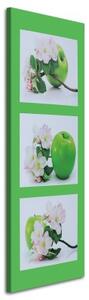 Obraz na plátně Jablko plod Zelený květ - 50x150 cm