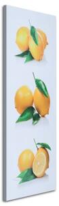 Obraz na plátně Ovoce citronu - 50x150 cm