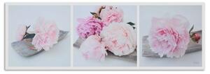 Obraz na plátně Pivoňka růžové květy - 90x30 cm