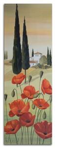 Obraz na plátně Toskánsko krajina mák květ - 30x90 cm