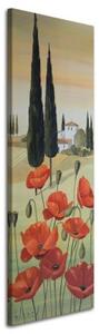 Obraz na plátně Toskánsko krajina mák květ - 50x150 cm