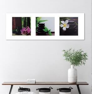 Obraz na plátně Lázně Orchid Zen Stones - 150x50 cm