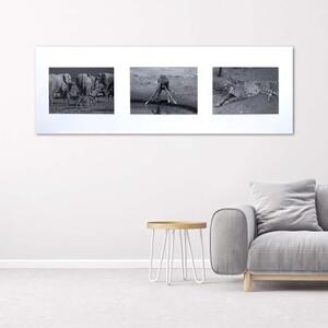 Obraz na plátně Afrika Zvířata Černá a bílá - 90x30 cm