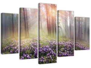 Obraz na plátně pětidílný Mlžný les Květiny - 100x70 cm