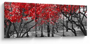 Obraz - Červené stromy, Central Park, New York (s hodinami) (90x30 cm)