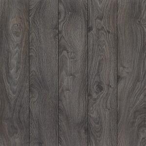 Classen Impression V4 Dub Santana 52800 1,624 m2