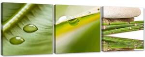 Obraz na plátně třídílný 3 kusy Nature Zen Leaf - 150x50 cm