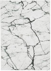 B-LINE Kusový koberec COLOR 1195 BARVA: Šedá, ROZMĚR: 80x150 cm
