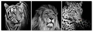 Obraz na plátně třídílný Zvířata Afrika - 120x40 cm