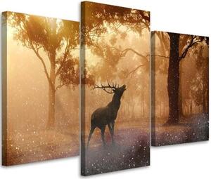 Obraz na plátně třídílný Jelení les Východ slunce Příroda - 150x100 cm