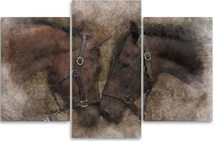 Obraz na plátně třídílný Koně Zvířata Hnědý - 120x80 cm
