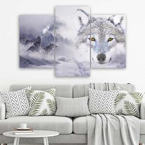 Obraz na plátně třídílný Šedý vlk Cloud Forest Mountain - 60x40 cm