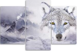 Obraz na plátně třídílný Šedý vlk Cloud Forest Mountain - 90x60 cm