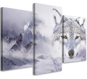 Obraz na plátně třídílný Šedý vlk Oblačný les - 60x40 cm
