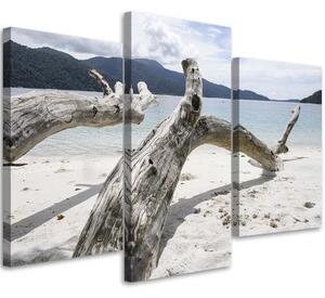 Obraz na plátně třídílný Větev stromu Moře Pláž Hory - 90x60 cm