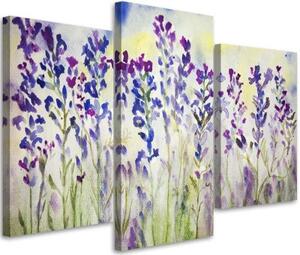 Obraz na plátně třídílný Polní květiny fialový - 150x100 cm