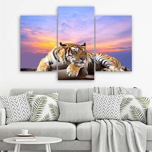 Obraz na plátně třídílný Tygr divoké zvíře - 150x100 cm