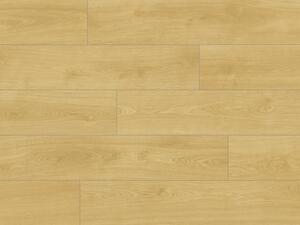 Vinylová podlaha CLASSEN NUVA ETERNAL Glue 65159 Cotton Oak Brown