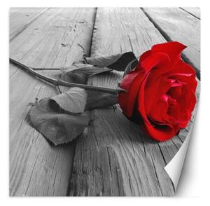 Fototapeta, Červené květy růží Dřevěná tyč - 100x100 cm