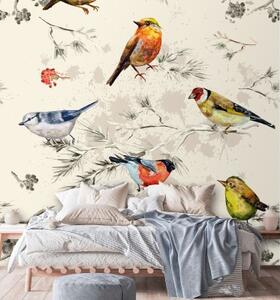 Fototapeta, Barevní ptáci malovaní akvarelem - 100x100 cm