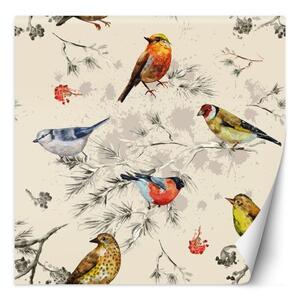 Fototapeta, Barevní ptáci malovaní akvarelem - 200x200 cm