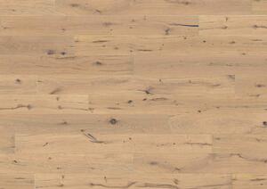 KPP Dub Platon 10173 2,904 m2