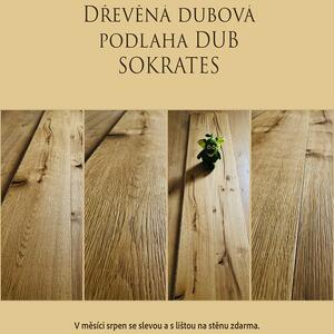 KPP dub Sokrates 10172 2,904 m2
