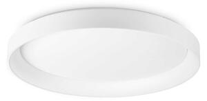 Ideal Lux Stropní LED svítidlo ZIGGY ⌀100cm Barva: Bílá